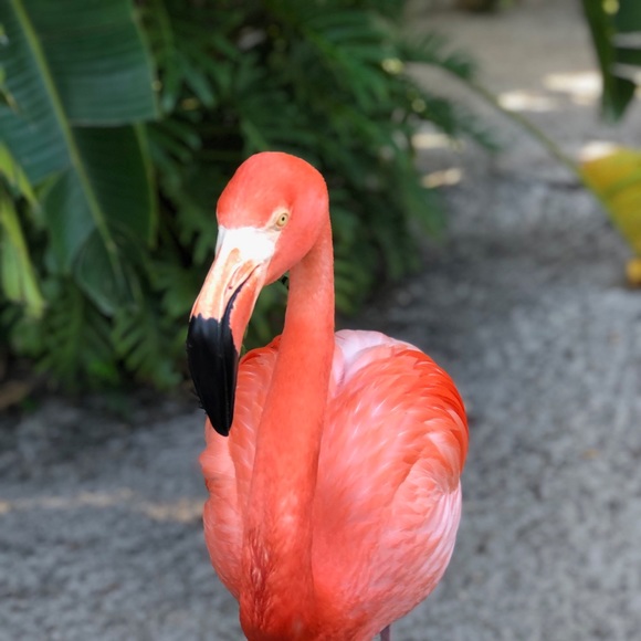 Meet your Posher, Susan - Picture 2 of 2